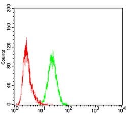 Invitrogen SSH1 Monoclonal Antibody (6C11G9) 100 &mu;L; Unconjugated:Antibodies,