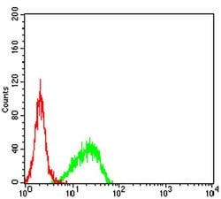 Invitrogen SMARCA1 Monoclonal Antibody (2H7B8) 100 &mu;L; Unconjugated:Antibodies,