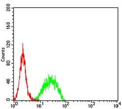 Invitrogen SMARCA1 Monoclonal Antibody (2H7B9) 100 &mu;L | Buy Online | Invitrogen&trade; | Fisher Scientific