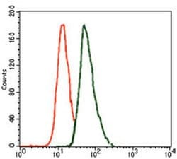 Invitrogen Brachyury Monoclonal Antibody (6C12) 100 &mu;L; Unconjugated:Antibodies,