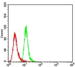 Invitrogen AS160 Monoclonal Antibody (8A11A2) 100 &mu;L; Unconjugated:Antibodies,