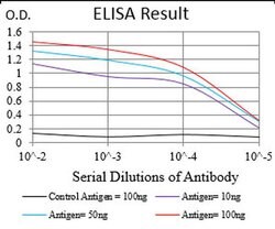 Invitrogen TRF2 Monoclonal Antibody (3H6B4) 100 &mu;L; Unconjugated:Antikroppar
