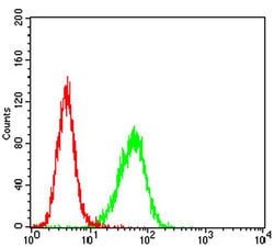 Invitrogen TFF2 Monoclonal Antibody (4G7C3) 100 &mu;L; Unconjugated:Antibodies,