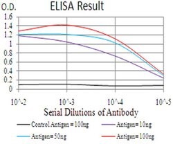 Invitrogen THAP1 Monoclonal Antibody (8D10C8) 100 &mu;L; Unconjugated:Antibodies,
