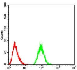 Invitrogen THAP1 Monoclonal Antibody (8D10C8) 100 &mu;L; Unconjugated:Antibodies,