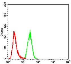 Invitrogen TLL1 Monoclonal Antibody (4H8C1) 100 &mu;L | Buy Online | Invitrogen&trade; | Fisher Scientific