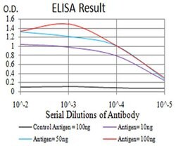 Invitrogen TRIM25 Monoclonal Antibody (5B5B10) 100 &mu;L; Unconjugated:Antibodies,