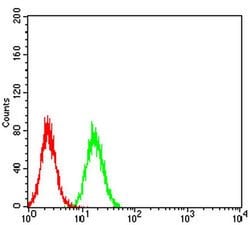 Invitrogen TRIM25 Monoclonal Antibody (5B5B10) 100 &mu;L; Unconjugated:Antibodies,