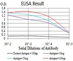 Invitrogen TTF1 Monoclonal Antibody (2F4B12) 100 &mu;L; Unconjugated:Antibodies,