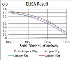 Invitrogen TUBB1 Monoclonal Antibody (2A1A9) 100 &mu;L; Unconjugated:Antibodies,