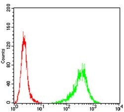 Invitrogen TUBB1 Monoclonal Antibody (2A1A9) 100 &mu;L; Unconjugated:Antibodies,