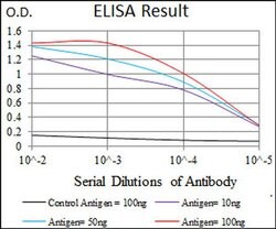 Invitrogen TUBE1 Monoclonal Antibody (5F3B7) 100 &mu;L; Unconjugated:Antikörper