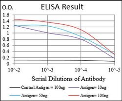 Invitrogen TUBE1 Monoclonal Antibody (7G3B2) 100 &mu;L; Unconjugated:Antibodies,