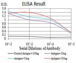 Invitrogen TWIST2 Monoclonal Antibody (1A11D9) 100 &mu;L; Unconjugated:Antibodies,