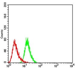Invitrogen UCP2 Monoclonal Antibody (3F1B9) 100 &mu;L; Unconjugated:Antibodies,