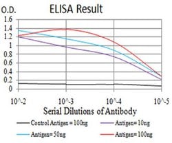 Invitrogen UCP3 Monoclonal Antibody (6B8C6) 100 &mu;L; Unconjugated:Antibodies,