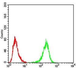 Invitrogen ULK2 Monoclonal Antibody (2H4B2) 100 &mu;L | Buy Online | Invitrogen&trade; | Fisher Scientific