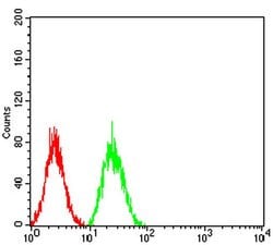 Invitrogen SELS Monoclonal Antibody (5G4A10) 100 &mu;L; Unconjugated:Antibodies,