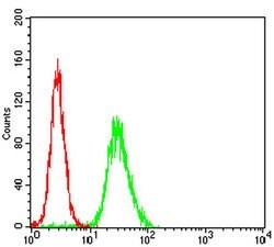 Invitrogen WASP Monoclonal Antibody (7B10E4) 100 &mu;L | Buy Online | Invitrogen&trade; | Fisher Scientific