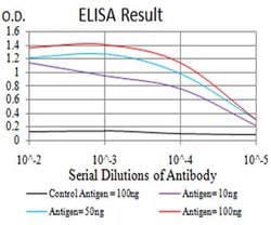 Invitrogen XRN2 Monoclonal Antibody (7C5B10) 100 &mu;L; Unconjugated:Antibodies,