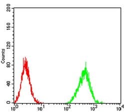 Invitrogen ZFP91 Monoclonal Antibody (8C3D5) 100 &mu;L; Unconjugated:Antibodies,