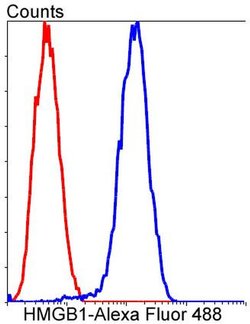 Invitrogen HMGB1 Recombinant Rabbit Monoclonal Antibody (SA39-03) 100 &mu;L;