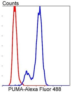 Invitrogen PUMA alpha Recombinant Rabbit Monoclonal Antibody (SR42-09)