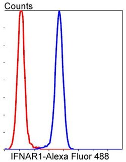 Invitrogen IFNAR1 Recombinant Rabbit Monoclonal Antibody (SR45-08) 100