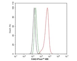 Invitrogen CDK2 Recombinant Rabbit Monoclonal Antibody (SR01-01) 100 &mu;L;