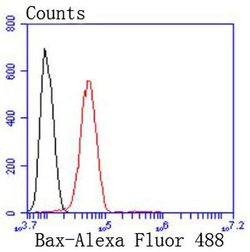 Invitrogen Bax Recombinant Rabbit Monoclonal Antibody (SZ3-07) 100 &mu;L | Buy Online | Invitrogen&trade; | Fisher Scientific