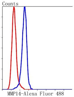 Invitrogen MMP14 Recombinant Rabbit Monoclonal Antibody (SJ18-09) 100 &mu;L;