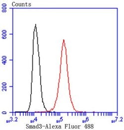 Invitrogen SMAD3 Recombinant Rabbit Monoclonal Antibody (SY25-01) 100 &mu;L;
