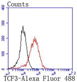 Invitrogen TCF3 Recombinant Rabbit Monoclonal Antibody (SY0258) 100 &mu;L;