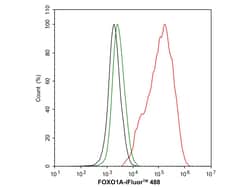 Invitrogen FOXO1 Recombinant Rabbit Monoclonal Antibody (SU33-01) 100 &mu;L;