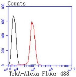 Invitrogen TrkA Recombinant Rabbit Monoclonal Antibody (SU0354) 100 &mu;L;