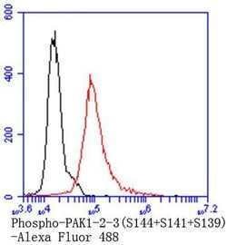 Invitrogen Phospho-PAK1/2/3 (Ser144, Ser141, Ser139) Recombinant Rabbit