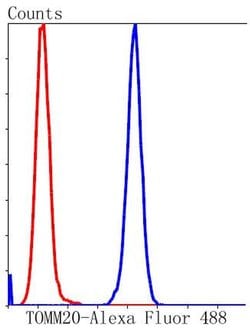 Invitrogen TOMM20 Recombinant Rabbit Monoclonal Antibody (ST04-72) 100