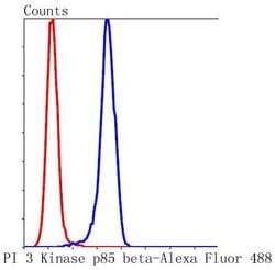 Invitrogen PIK3R2 Recombinant Rabbit Monoclonal Antibody (ST04-77) 100
