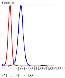 Invitrogen Phospho-JNK1/JNK2/JNK3 (Thr183, Thr221) Recombinant Rabbit Monoclonal