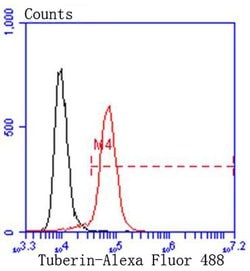 Invitrogen TSC2 Recombinant Rabbit Monoclonal Antibody (SC05-59) 100 &mu;L;