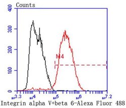 Invitrogen CD51 Recombinant Rabbit Monoclonal Antibody (SC56-07) 100 &mu;L | Buy Online | Invitrogen&trade; | Fisher Scientific