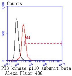 Invitrogen PIK3CB Recombinant Rabbit Monoclonal Antibody (SC0580) 100 &mu;L;