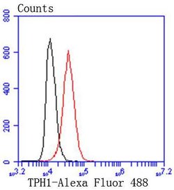 Invitrogen TPH1 Recombinant Rabbit Monoclonal Antibody (SC53-07) 100 &mu;L;