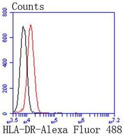 Invitrogen HLA-DR Recombinant Rabbit Monoclonal Antibody (SC06-78) 100