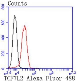 Invitrogen TCF7L2 Recombinant Rabbit Monoclonal Antibody (SC06-90) 100