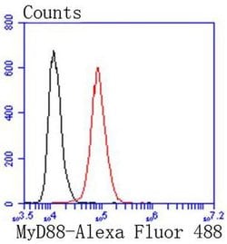 Invitrogen MyD88 Recombinant Rabbit Monoclonal Antibody (SC65-04) 100 &mu;L;