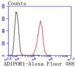 Invitrogen Adiponectin Receptor 1 Recombinant Rabbit Monoclonal Antibody