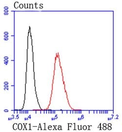 Invitrogen COX1 Recombinant Rabbit Monoclonal Antibody (SC68-05) 100 &mu;L;