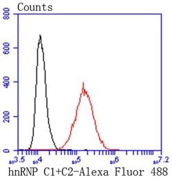 Invitrogen hnRNP C1/C2 Recombinant Rabbit Monoclonal Antibody (SN0652)