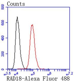 Invitrogen RAD18 Recombinant Rabbit Monoclonal Antibody (SN66-01) 100 &mu;L;